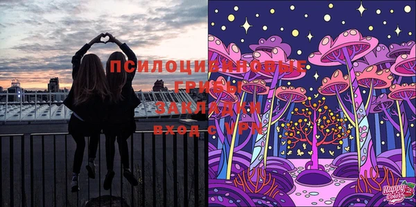 прущая мука Покачи